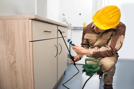 Professional Pest Control